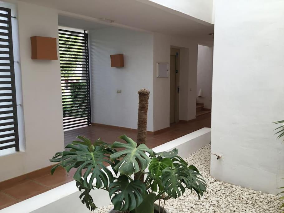 Alcazaba Blue Lagoon 3 Bedroom, Ground Floor Apartment Estepona Extérieur photo